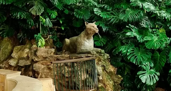 Parque de Salus en Minas, Uruguay: naturaleza, leyendas y el agua pura de la Fuente del Puma.