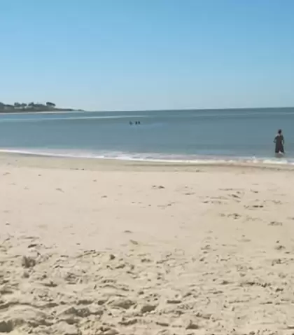 La Floresta en la Costa de Oro de Uruguay: playas, naturaleza y tranquilidad en un destino seguro y sostenible.
