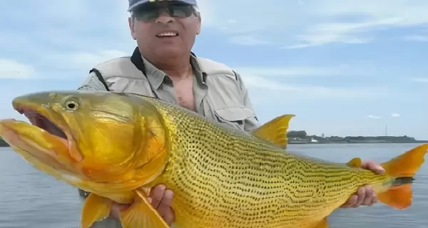 R�o Arapey en Salto, Uruguay: un destino de pesca y naturaleza en las Termas de Arapey.
