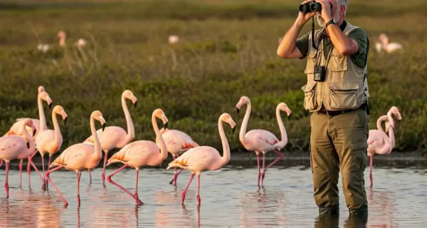 Las aves migratorias nos recuerdan que todos compartimos el mismo cielo.