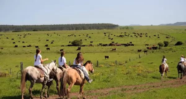 Turismo Rural en Uruguay