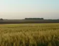 Zona rural de San Jos�