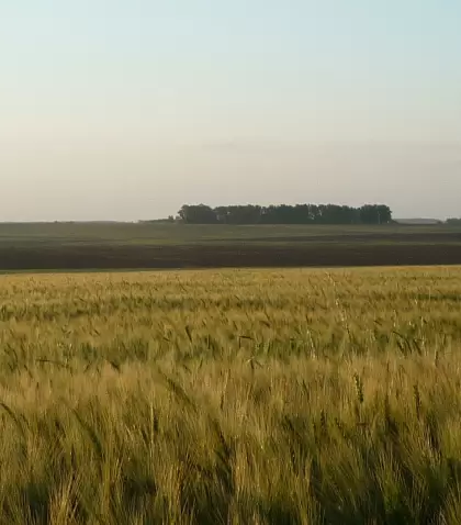 Zona rural de San Jos�