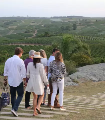 Las bodegas de Maldonado combinan vinos de excelencia, paisajes serranos y vista al mar.