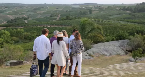 Las bodegas de Maldonado combinan vinos de excelencia, paisajes serranos y vista al mar.