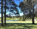 El Festival Nacional de Folclore re�ne a artistas y visitantes de todo el pa�s en el Parque de la Hispanidad.