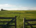 El turismo rural en Rocha invita a vivir la esencia del campo uruguayo entre mar y sierras.