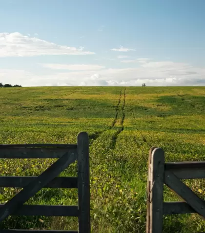 El turismo rural en Rocha invita a vivir la esencia del campo uruguayo entre mar y sierras.