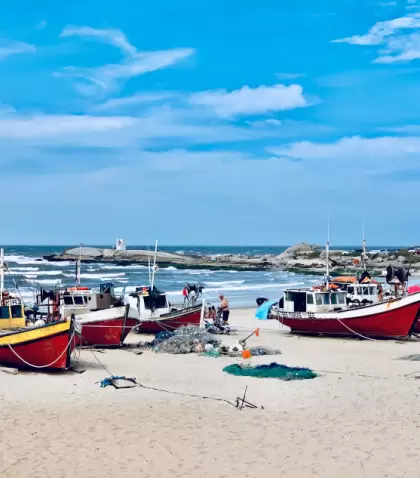 Rocha re�ne playas oce�nicas, lagunas costeras y �reas protegidas �nicas en la Costa Atl�ntica uruguaya.