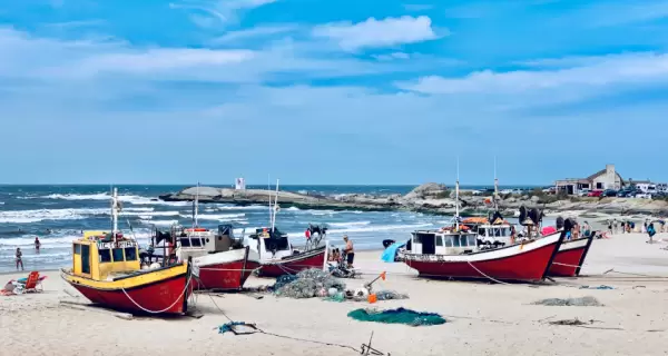 Rocha re�ne playas oce�nicas, lagunas costeras y �reas protegidas �nicas en la Costa Atl�ntica uruguaya.