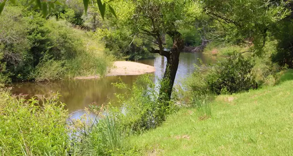 Minas combina sierras, cascadas y vida tranquila en el coraz�n serrano del Uruguay.