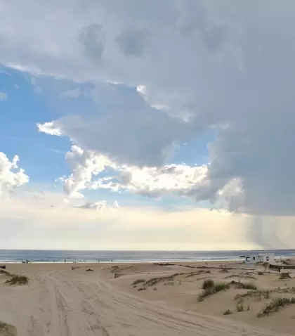 Cabo Polonio conserva un ecosistema costero �nico entre dunas m�viles y fauna marina protegida.
