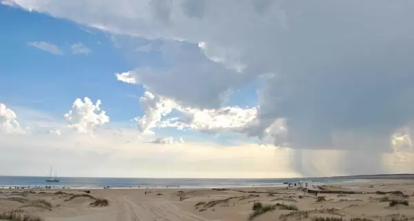 Cabo Polonio conserva un ecosistema costero �nico entre dunas m�viles y fauna marina protegida.