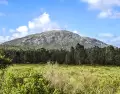 Maldonado en verano combina playas, cultura y escapadas naturales en un mismo destino.