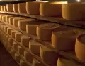 Colonia es uno de los principales productores l�cteos del pa�s.