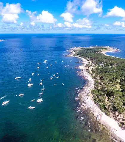 Punta del Este ofrece diversas actividades y sitios para disfrutar en enero.