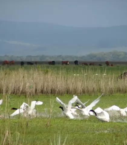 En Rocha aparecen lagunas de enorme valor ambiental.