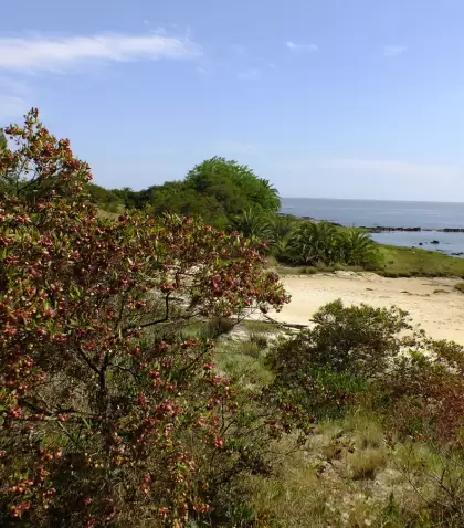 Uruguay ofrece diversas opciones y paisajes para un verano sin estr�s.