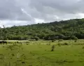 Recomendaciones para disfrutar la diversidad de paisajes en Uruguay.
