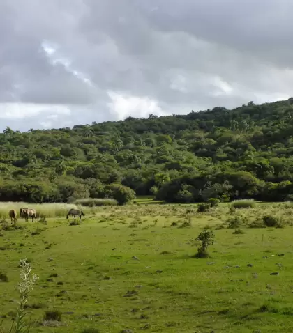 Recomendaciones para disfrutar la diversidad de paisajes en Uruguay.