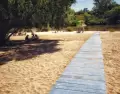 El Carnaval tambi�n puede ser una pausa y contacto con la naturaleza.