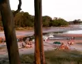 El final del verano es ideal para disfrutar Colonia.