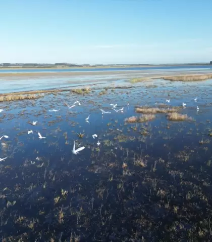 Las lagunas cumplen un papel fundamental para la biodiversidad.