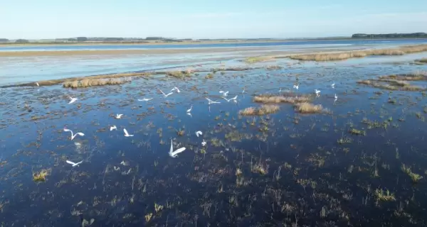 Las lagunas cumplen un papel fundamental para la biodiversidad.
