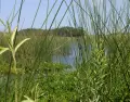 Visitar parques naturales de Uruguay en oto�o es una buena forma de disfrutar.