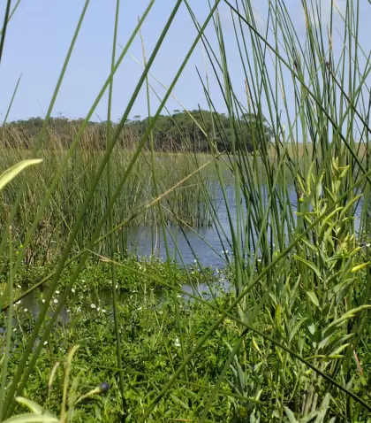 Visitar parques naturales de Uruguay en oto�o es una buena forma de disfrutar.