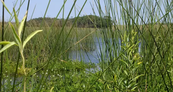 Visitar parques naturales de Uruguay en oto�o es una buena forma de disfrutar.