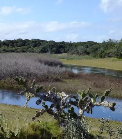 Sierras, costas, lagunas y campos aguardan con colores c�lidos y menos turistas.