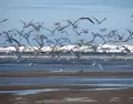 Uruguay ofrece destinos ideales para escapadas de naturaleza.