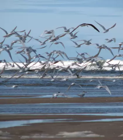 Uruguay ofrece destinos ideales para escapadas de naturaleza.