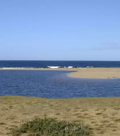 Oto�o en Uruguay sorprende con paisajes tranquilos y luz c�lida.
