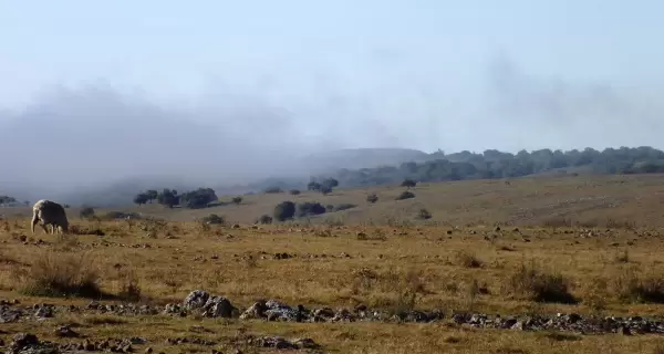 Vista panor�mica del Valle del Lunarejo.
