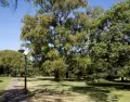 Los parques de Montevideo son uno de los planes ideales para las familias con ni�os.