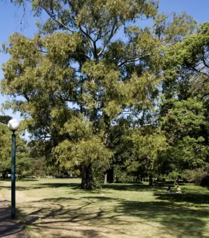 Los parques de Montevideo son uno de los planes ideales para las familias con ni�os.