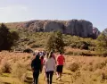Sendero en el Cerro Arequita, un destino ideal para el oto�o.