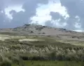 Cabo Polonio es uno de los destinos donde la naturaleza y el relax son sin�nimos.