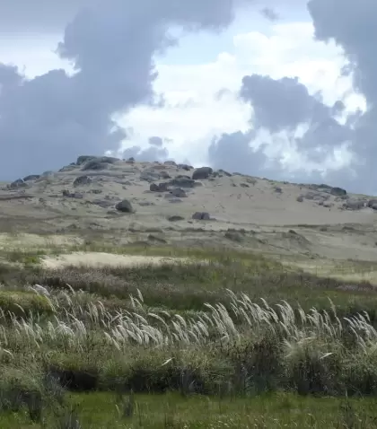 Cabo Polonio es uno de los destinos donde la naturaleza y el relax son sin�nimos.