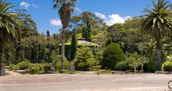 Cuando desaparecen las multitudes, el parque recupera su naturaleza real.