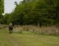 Las cabalgatas en Uruguay suelen ganar protagonismo durante el oto�o.