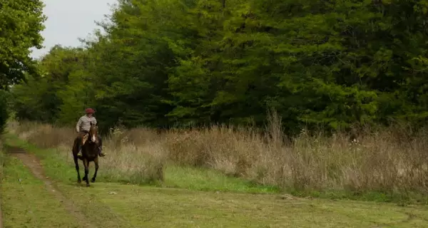 Las cabalgatas en Uruguay suelen ganar protagonismo durante el oto�o.