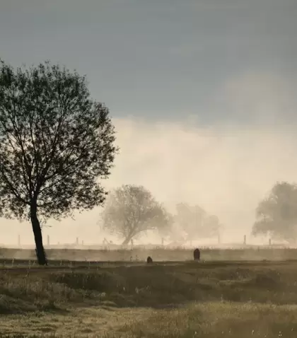 La niebla obliga a mirar m�s lento y a prestar atenci�n a detalles peque�os.