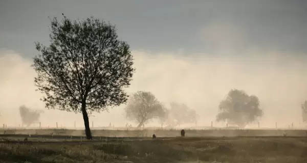 La niebla obliga a mirar m�s lento y a prestar atenci�n a detalles peque�os.