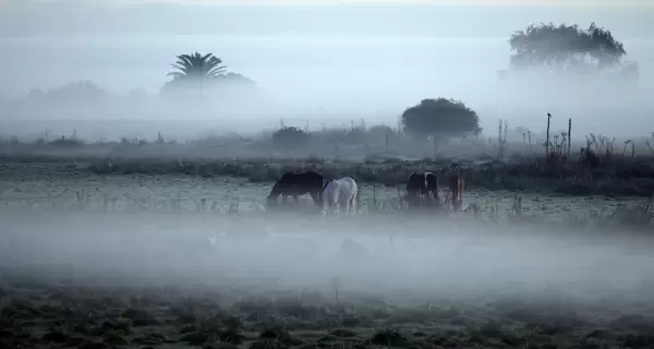 La niebla tiene la capacidad de transformar incluso paisajes cotidianos.