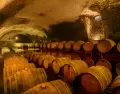 Las bodegas uruguayas tienen algo que encaja muy bien con oto�o: permiten cambiar de ritmo sin viajar demasiado.