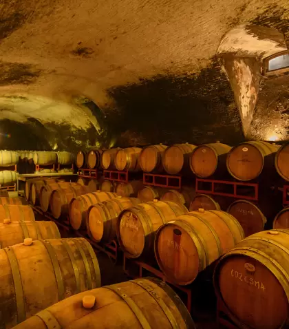Las bodegas uruguayas tienen algo que encaja muy bien con oto�o: permiten cambiar de ritmo sin viajar demasiado.
