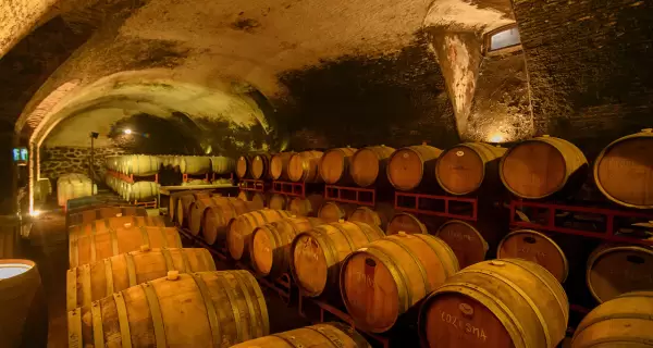 Las bodegas uruguayas tienen algo que encaja muy bien con oto�o: permiten cambiar de ritmo sin viajar demasiado.